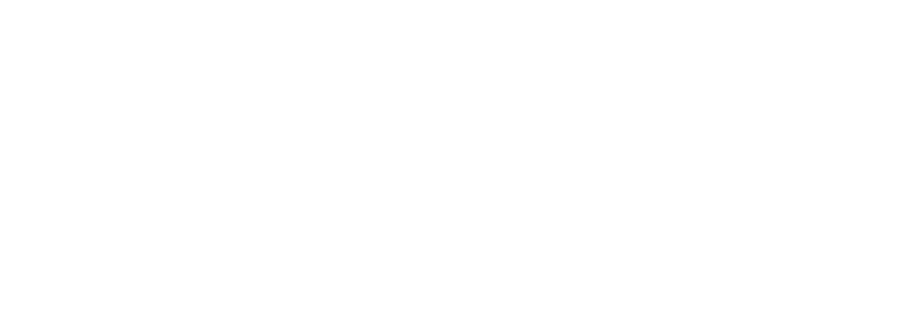 MIPP