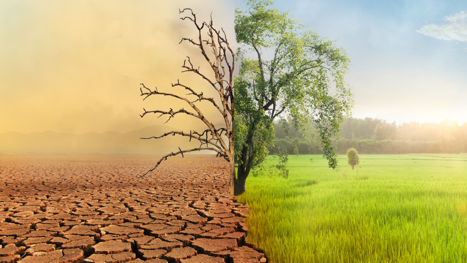 Migración, sequías y conflicto: el impacto oculto del cambio climático